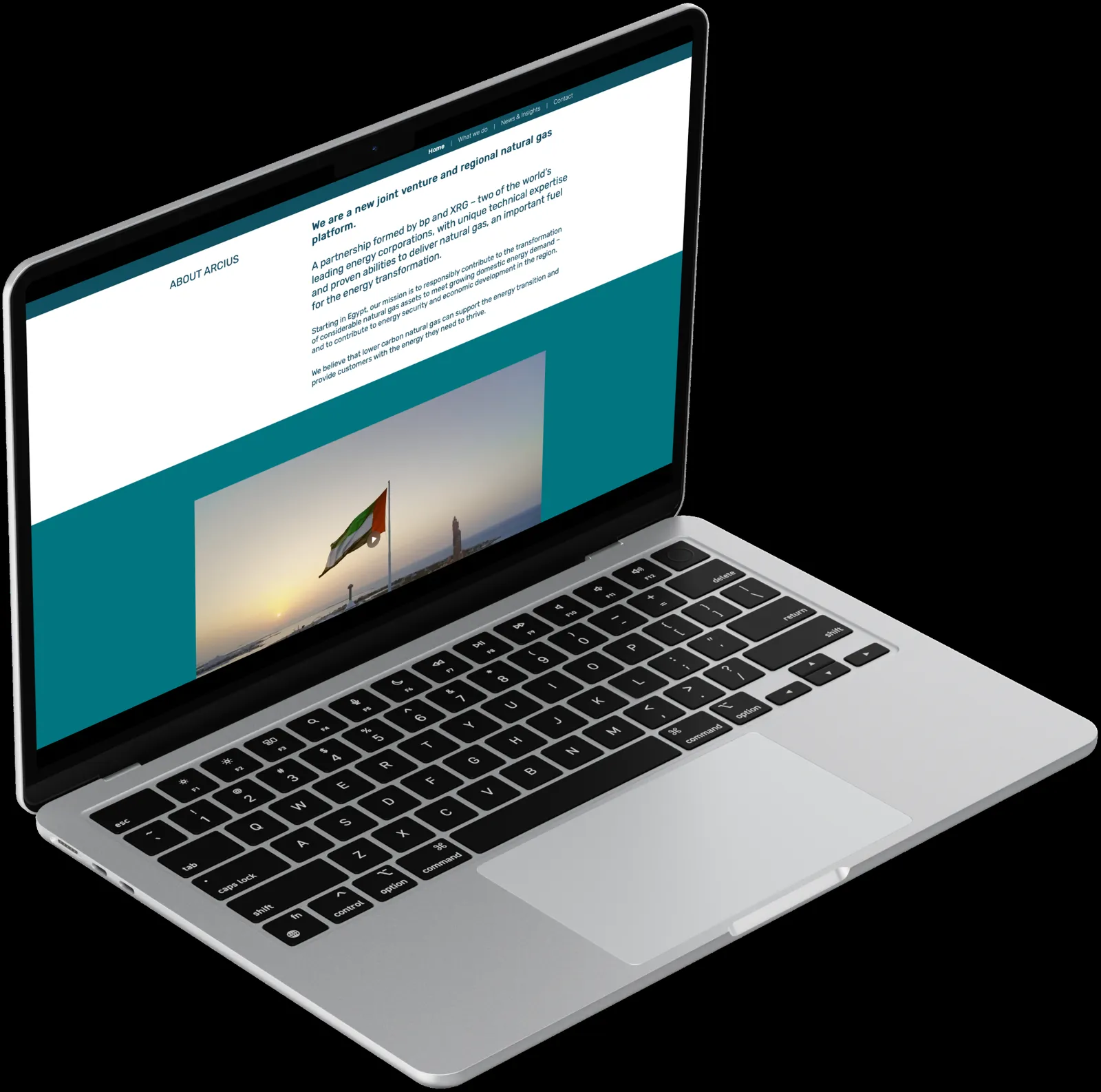 Arcius Responsive Website screen 2